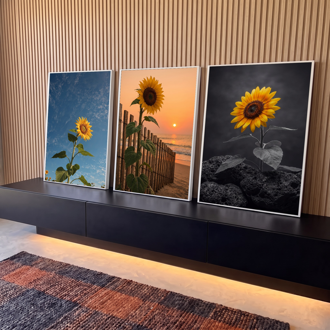 Quadro Decorativo Kit 3 Telas Girassol para Sala Amarelo | quadros decorativos para sala | girassol amarelo retratado em três cenários, céu azul, praia ao pôr do sol e pedras em preto e branco | em Quadros para Sala | Porao dos Quadros