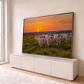 Rebanho de gado Nelore branco no pasto verde sob céu laranja de pôr do sol, quadro decorativo