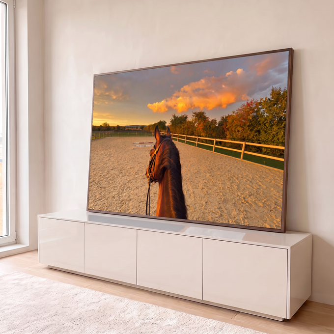 Cavalo castanho visto pelo cavaleiro em picadeiro de areia, céu laranja e árvores de outono, quadro decorativo