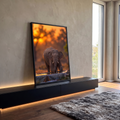 Elefante jovem ajoelhado bebendo água em bebedouro com fundo laranja de pôr do sol, quadro decorativo