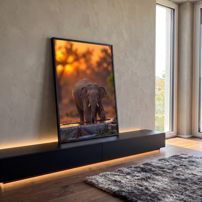 Elefante jovem ajoelhado bebendo água em bebedouro com fundo laranja de pôr do sol, quadro decorativo