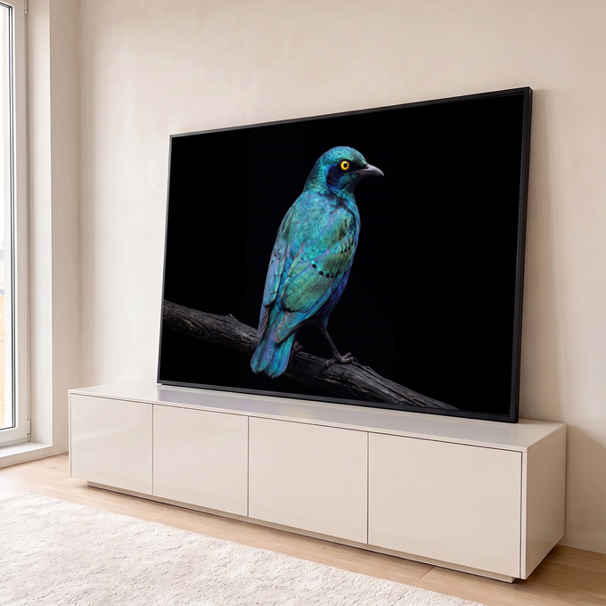 Quadro Decorativo Grande Pássaro e Verde para Sala Azul | quadros decorativos para sala | pássaro de penas azul e verde iridescentes com olho amarelo pousado em galho seco | em Quadros para Sala | Porao dos Quadros