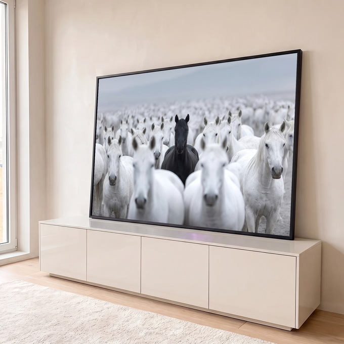 Cavalo preto em destaque no meio de uma manada de cavalos brancos sob neblina, quadro decorativo
