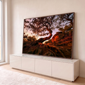 Pinheiro de tronco curvo com raízes expostas sobre rochas iluminadas ao entardecer, quadro decorativo