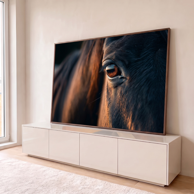 Close do olho âmbar de cavalo escuro com crina iluminada pela luz do fim de tarde, quadro decorativo