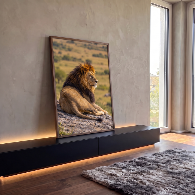 Leão de juba escura deitado sobre rocha olhando a savana, fotografia em tons dourados, quadro decorativo