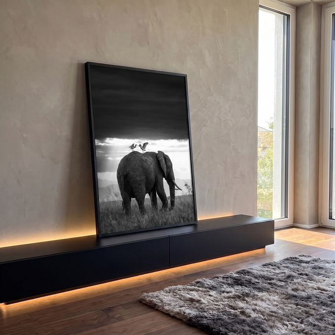 Elefante com duas garças no dorso sob céu escuro e raios de luz em preto e branco, quadro decorativo