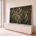 Pássaro diamante-de-gould colorido pousado em galho de eucalipto com folhas verdes, quadro decorativo