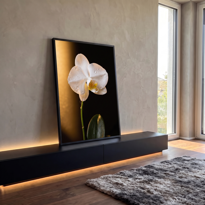 Orquídea branca com gotas de orvalho e feixe de luz dourada sobre fundo preto, quadro decorativo