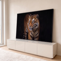 Quadro Decorativo Grande Tigre Olhar Fixo para Sala Laranja | quadros decorativos para sala | tigre adulto caminhando com olhos âmbar fixos sobre fundo preto profundo | em Quadros para Sala | Porao dos Quadros