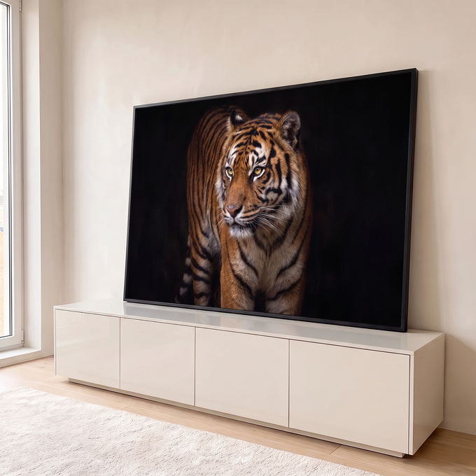 Quadro Decorativo Grande Tigre Olhar Fixo para Sala Laranja | quadros decorativos para sala | tigre adulto caminhando com olhos âmbar fixos sobre fundo preto profundo | em Quadros para Sala | Porao dos Quadros