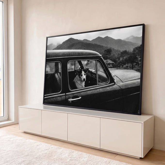Cachorro olhando pela janela de carro antigo sob chuva nas montanhas, foto preto e branco, quadro decorativo