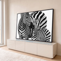 Zebra e filhote encostando os focinhos em fotografia preto e branco com fundo branco, quadro decorativo