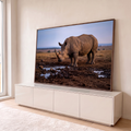 Rinoceronte de chifre longo coberto de lama junto a uma poça na savana africana ao entardecer, quadro decorativo