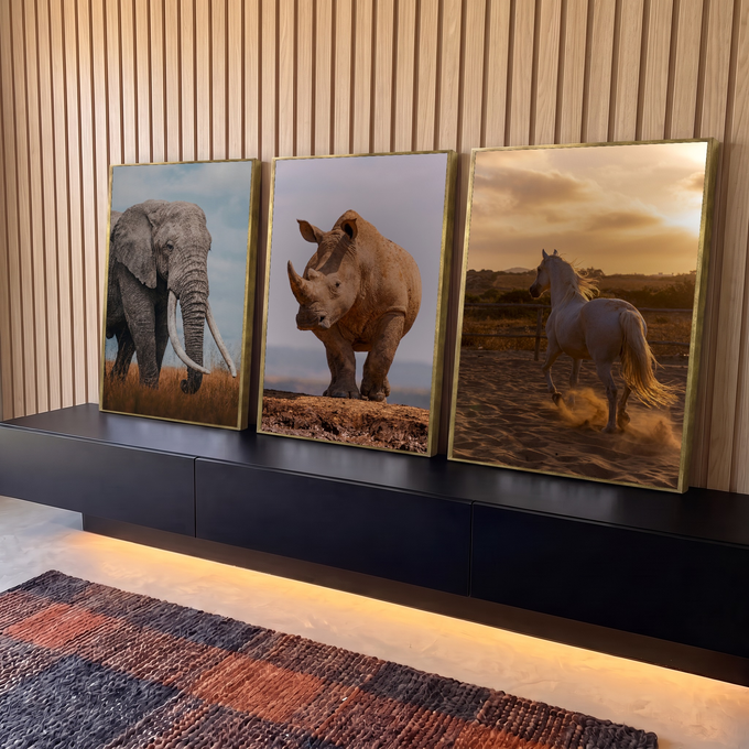 Quadro Decorativo Kit 3 Telas Elefante Rinoceronte para Sala | quadros decorativos para sala | três animais selvagens elefante rinoceronte e cavalo branco em cenários naturais | em Quadros para Sala | Porao dos Quadros
