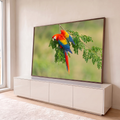 Arara vermelha de asas amarelas e azuis pousada em galho com folhas verdes e fundo desfocado, quadro decorativo