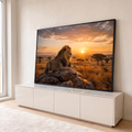 Leão majestoso deitado sobre rocha na savana africana com sol se pondo no horizonte, quadro decorativo