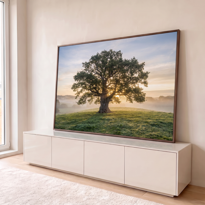 Quadro Decorativo Grande Árvore Solitária para Sala Verde | quadros decorativos para sala | árvore solitária com sol nascendo entre os galhos sobre colina com névoa | em Quadros para Sala | Porao dos Quadros