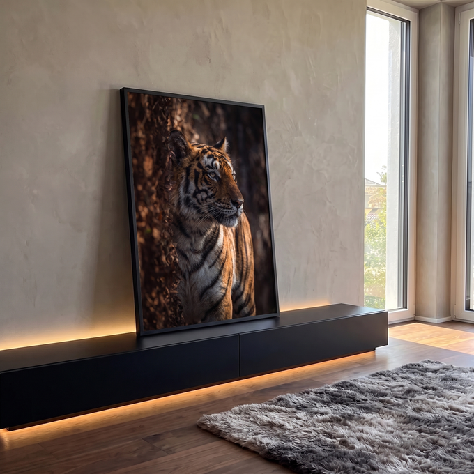 Tigre de perfil entre folhas secas, luz quente e fundo escuro na floresta, quadro decorativo