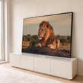 Quadro Decorativo Grande Leão Deitado para Sala Marrom | quadros decorativos para sala | leão deitado com juba dourada olhando para o lado ao entardecer | em Quadros para Sala | Porao dos Quadros