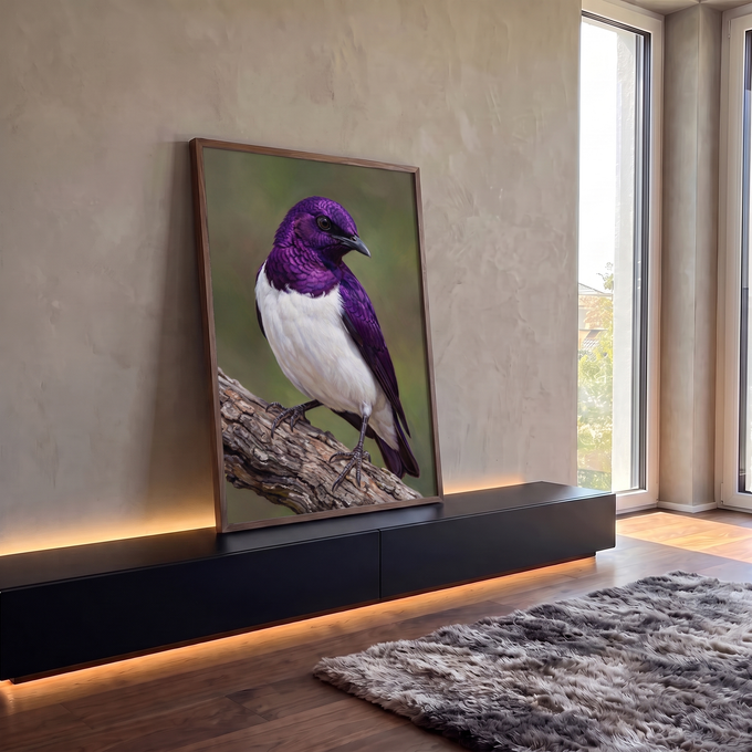 Quadro Decorativo Grande Pássaro com Peito para Sala Roxo | quadros decorativos para sala | pássaro de cabeça roxa iridescente e peito branco pousado em galho seco | em Quadros para Sala | Porao dos Quadros