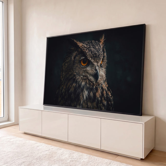 Coruja-real em close-up com olhos laranja intensos e penas marrons sobre fundo escuro, quadro decorativo