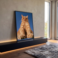 Quadro Decorativo Gato Laranja Sentado em Fundo Azul | quadros decorativos para sala | gato laranja tigrado sentado em ângulo baixo com fundo azul | em Quadros para Sala | Porao dos Quadros