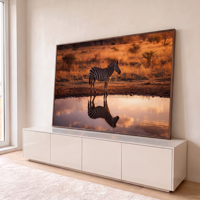 Quadro Decorativo Grande Zebra na Savana para Sala Laranja | quadros decorativos para sala | zebra refletida na água dourada de uma savana ao pôr do sol | em Quadros para Sala | Porao dos Quadros