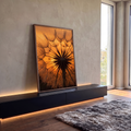 Sementes de dente de leão em macro contra o sol poente laranja, em contraluz, quadro decorativo