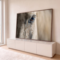 Quadro Decorativo Grande Olho de Cavalo para Sala Bege | quadros decorativos para sala | close-up do olho de um cavalo branco com pelagem salpicada e cílios longos | em Quadros para Sala | Porao dos Quadros