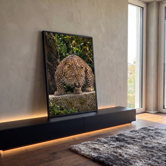 Quadro Decorativo Grande Leopardo Rosnando Marrom para Sala | quadros decorativos para sala | leopardo rosnando sobre pedra com fundo de folhagem verde | em Quadros para Sala | Porao dos Quadros