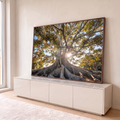 Quadro Decorativo Grande Árvore com Raízes Verde para Sala | quadros decorativos para sala | árvore de grande porte com raízes expostas e sol brilhando entre os galhos | em Quadros para Sala | Porao dos Quadros