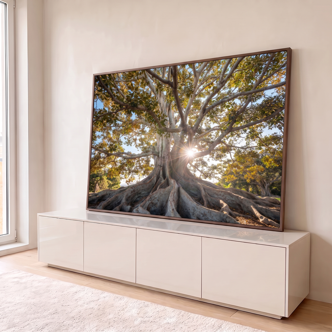 Quadro Decorativo Grande Árvore com Raízes Verde para Sala | quadros decorativos para sala | árvore de grande porte com raízes expostas e sol brilhando entre os galhos | em Quadros para Sala | Porao dos Quadros