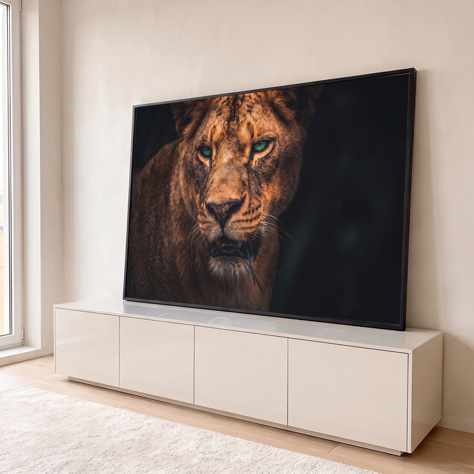 Leoa em close com olhos verdes intensos, pelagem marrom e capim na boca sobre fundo escuro, quadro decorativo