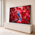 Pássaro gaio-azul pousado em galho com fundo vermelho de outono desfocado, quadro decorativo