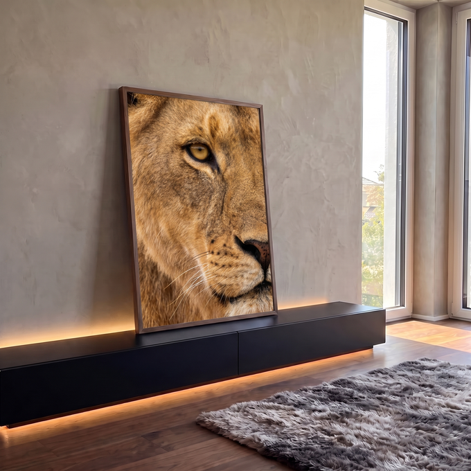 Quadro Decorativo Grande Olho de Leão para Sala Dourado | quadros decorativos para sala | close extremo do rosto de um leão com olho âmbar e bigodes brancos | em Quadros para Sala | Porao dos Quadros