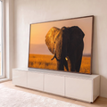 Elefante africano de frente na savana, orelha iluminada pela luz dourada do pôr do sol, quadro decorativo