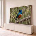 Estorninho-soberbo azul e laranja pousado em galho seco com fundo verde desfocado, quadro decorativo