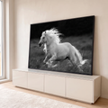 Quadro Decorativo Cavalo Branco em Galope Preto e Branco | quadros decorativos para sala | cavalo branco galopando com crina ao vento em preto e branco | em ambiente 1 | Porao dos Quadros