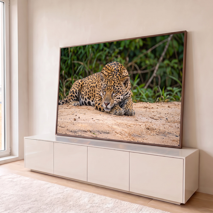 Quadro Decorativo Grande Onça Pintada para Sala Dourado | quadros decorativos para sala | onça-pintada deitada na areia com olhar fixo e fundo de folhagem verde | em Quadros para Sala | Porao dos Quadros