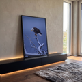 Águia-de-cabeça-branca pousada em galho coberto de neve com fundo azul, quadro decorativo
