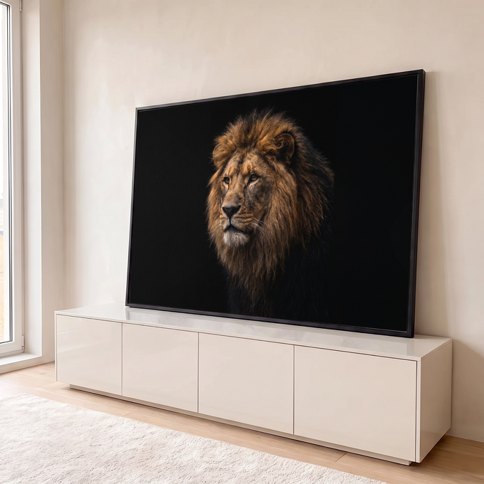 Fotografia de leão majestoso com juba castanha olhando para o lado sobre fundo preto, quadro decorativo