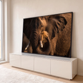 Elefante africano em close soprando poeira dourada com a tromba sob luz do entardecer, quadro decorativo