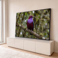 Pássaro exótico vinho com peito roxo pousado em galho com musgo e bromélias na floresta, quadro decorativo
