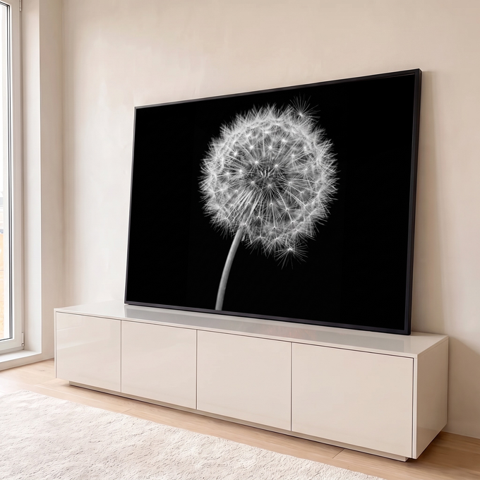Quadro Decorativo Grande Dente de Leão para Sala Preto | quadros decorativos para sala | dente-de-leão em sementes com fiapos finos sobre fundo preto | em Quadros para Sala | Porao dos Quadros