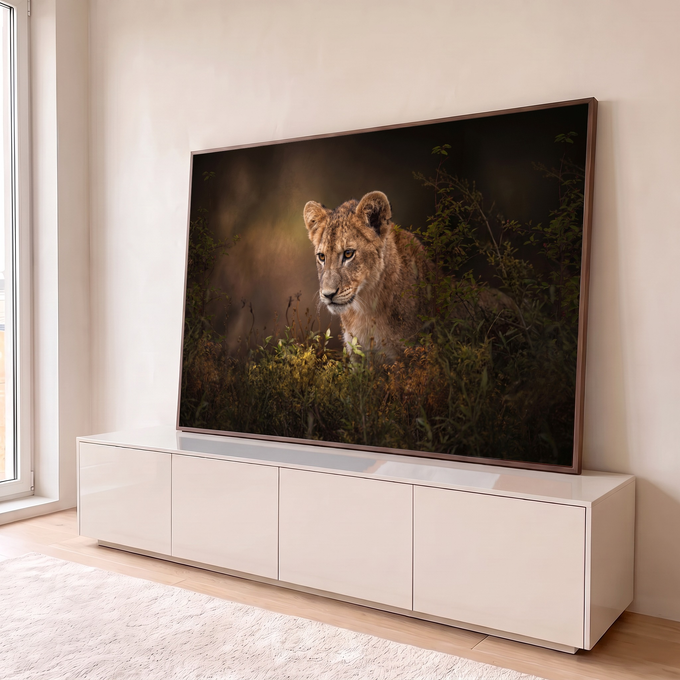 Filhote de leão de olhar atento entre folhagens verdes em fundo escuro e dourado, quadro decorativo