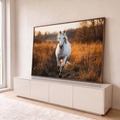 Cavalo branco trotando em trilha de campo dourado ao pôr do sol, fotografia artística, quadro decorativo