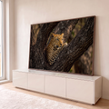Leopardo de olhos claros descansando na forquilha da árvore, fotografia em tons terrosos, quadro decorativo
