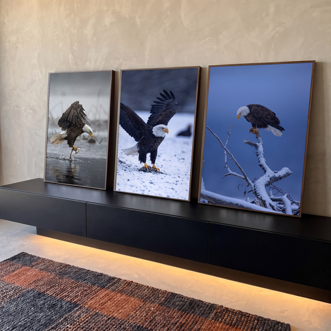 Quadro Decorativo Kit 3 Telas Águias Americanas para Sala | quadros decorativos para sala | três águias-de-cabeça-branca em cenas de pesca e pouso na neve | em Quadros para Sala | Porao dos Quadros