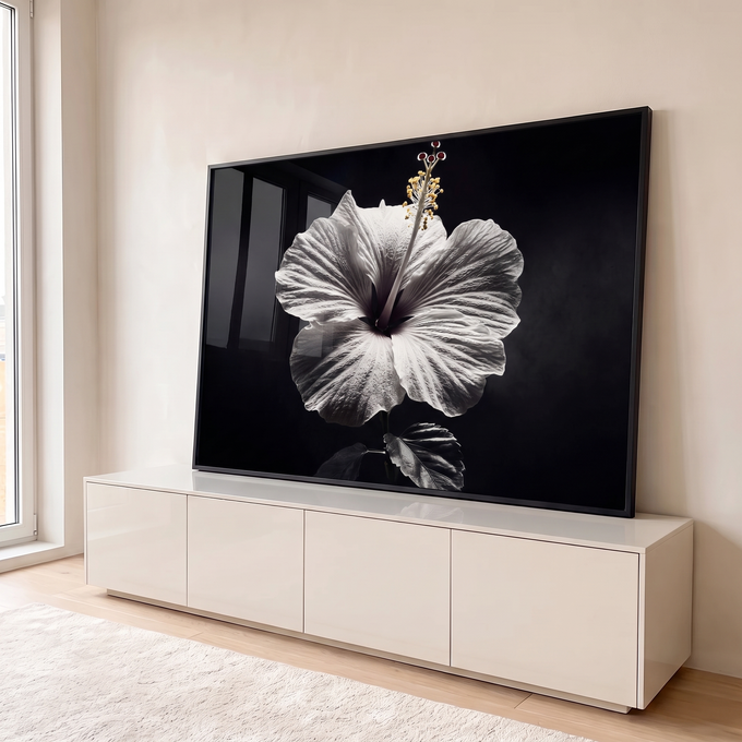 Quadro Decorativo Grande Flor de Hibisco para Sala Preto | quadros decorativos para sala | flor de hibisco branca em preto e branco com pistilo e pólen amarelo visíveis | em Quadros para Sala | Porao dos Quadros